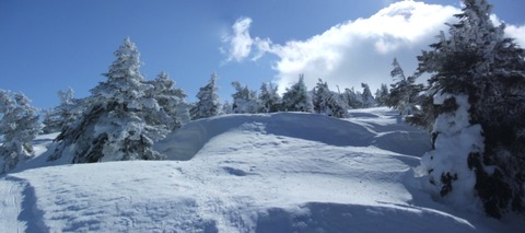 2023_03190005 パノラマ写真