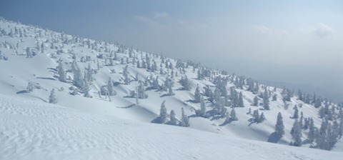 2023_02070029 パノラマ写真