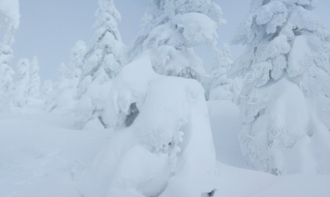 2022_12210004 パノラマ写真