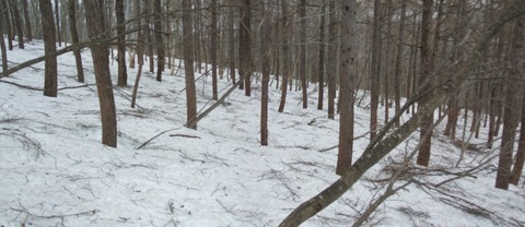 2023_04140020 パノラマ写真