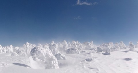 100_0785 パノラマ写真