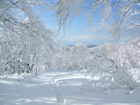 2020_12220025