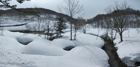 2023_03250001 パノラマ写真