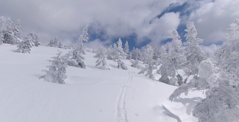 2024_03190018 パノラマ写真