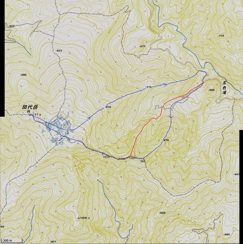 IMG パノラマ写真]