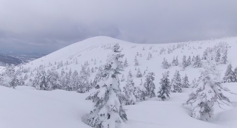 2024_03160015 パノラマ写真