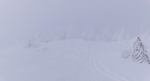 2024_12210009 パノラマ写真