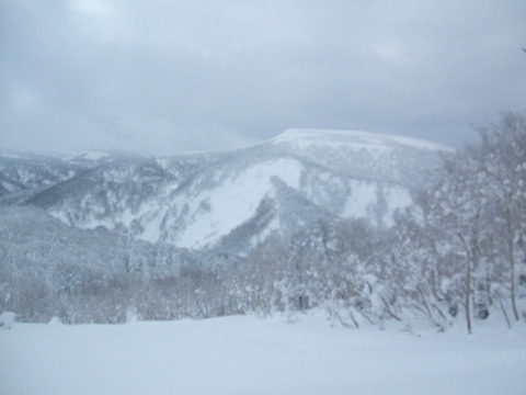 2022_12120007