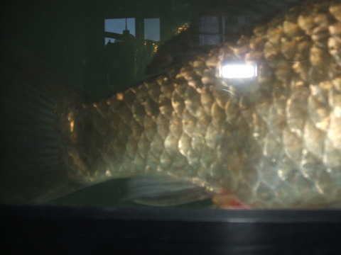 2020_05260002