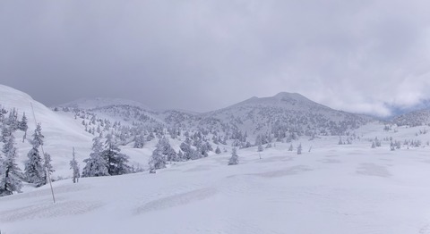 100_0958 パノラマ写真