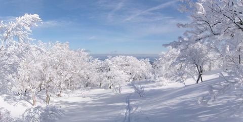 100_0694 パノラマ写真