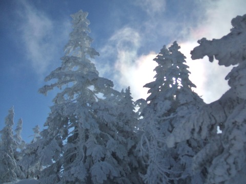 2019_12290009