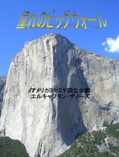 イメージ 6