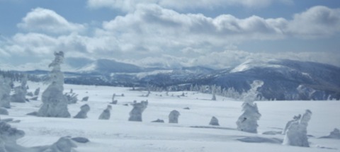 2020_02210031 パノラマ写真