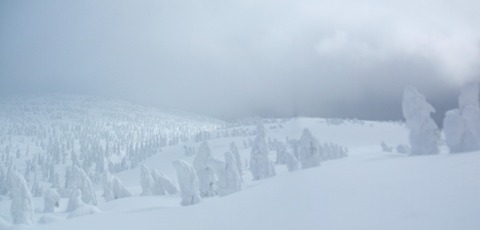 2022_03080014 パノラマ写真