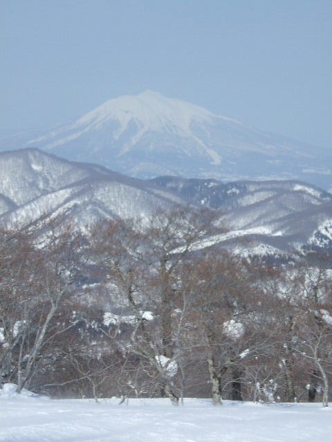 イメージ 6