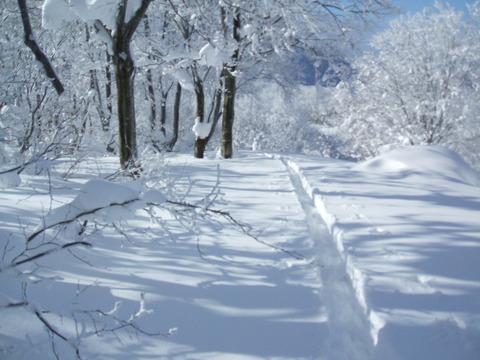 2020_12220008