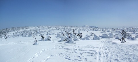 2024_02180010 パノラマ写真