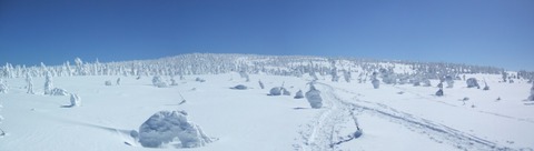 2022_03100015 パノラマ写真