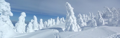 2024_02060006 パノラマ写真