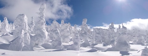 100_0714 パノラマ写真