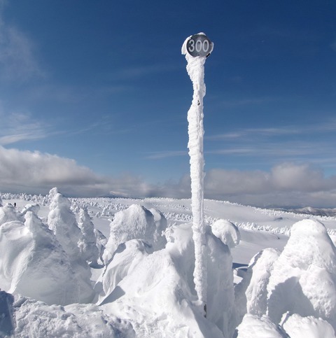 100_0742 パノラマ写真