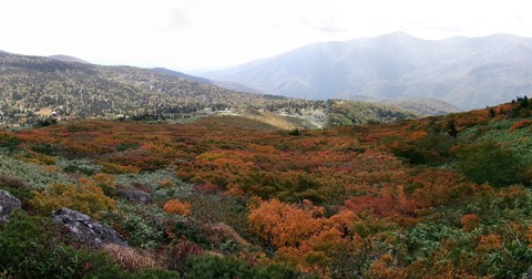 2024_09290004 パノラマ写真