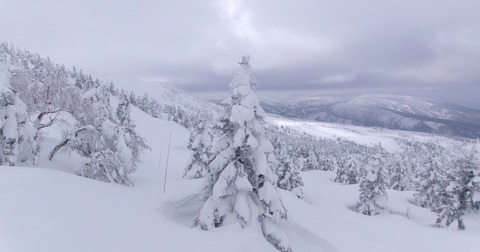 2024_03160013 パノラマ写真