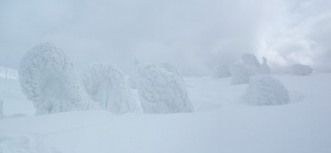 2022_03080017 パノラマ写真