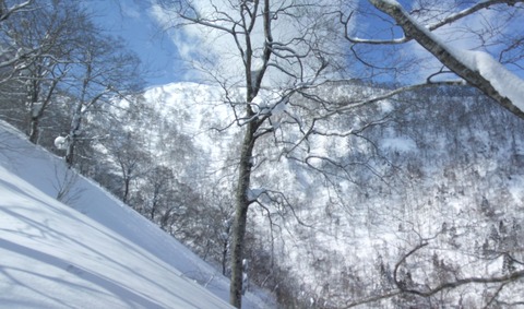 2022_03010019 パノラマ写真