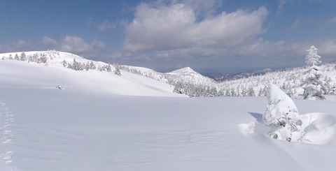 2024_03190014 パノラマ写真