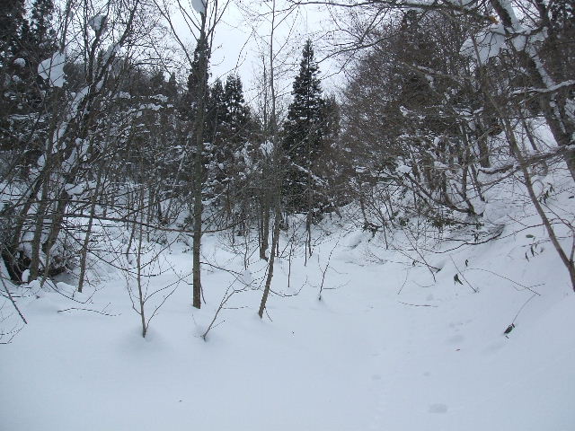 イメージ 3
