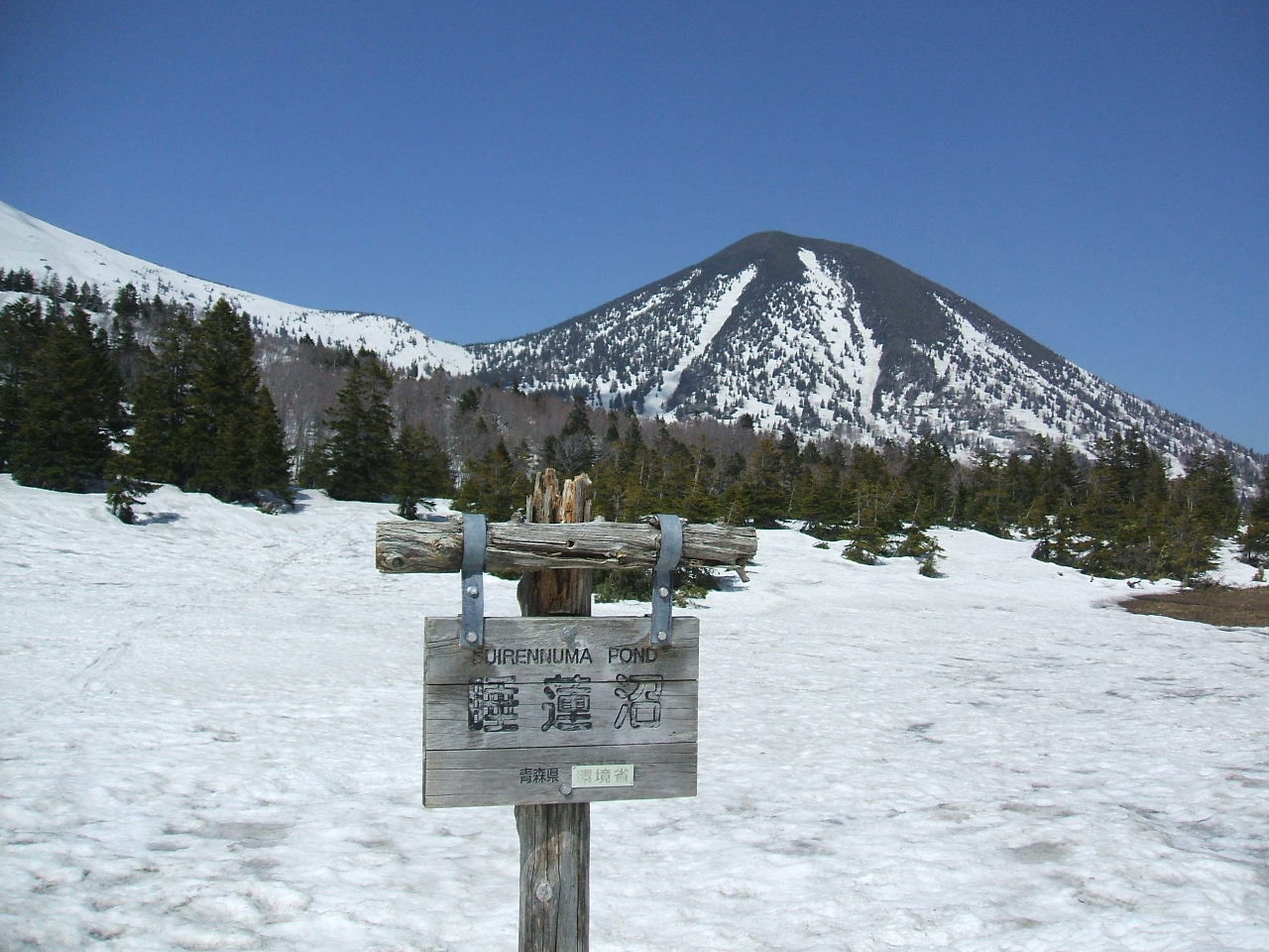 イメージ 19