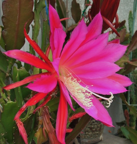 2019_06270011