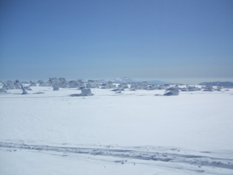 2023_03050008