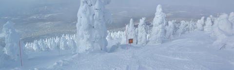 2023_01120041 パノラマ写真