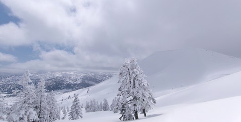 100_0983 パノラマ写真