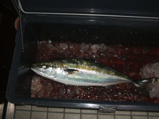 イメージ 4