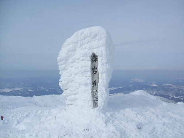 イメージ 14