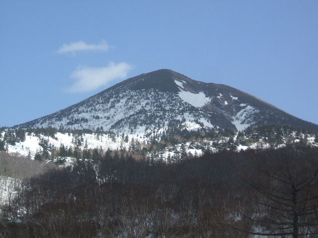 イメージ 17