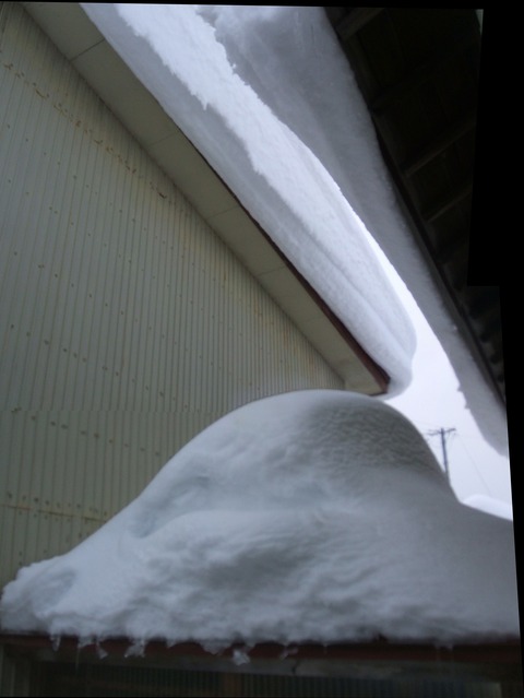 2022_01230005 パノラマ写真