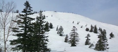 2023_04140013 パノラマ写真