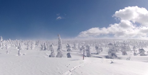 100_0772 パノラマ写真