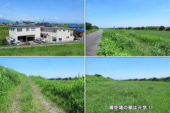 20200801_木曽川-01