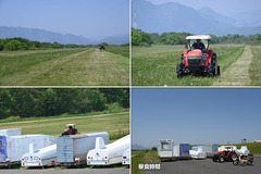 250430_飛行予定更新-草刈り指導-02