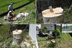 202104_草刈-06