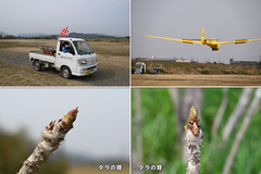 220325_OGC+大工・京大・府大-04