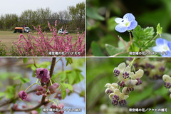 230327_OGC+岐大・愛工-03