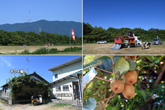 240811_OGC+京大・南山・龍谷-03