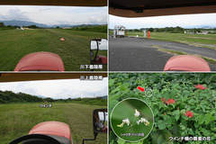 240928_OGC+名大・名城-04